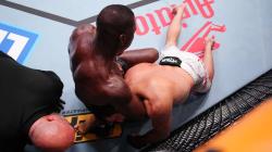 Best UFC Streams Today – What’s Actually Working Right Now