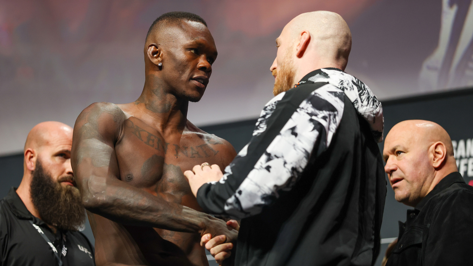 ultimate-fighting-championship-guide-everything-you-need-to-know